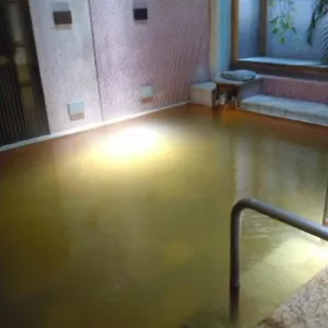 Yamanouchi (Nagano) hotels &amp; apartments, all accommodations in Yamanouchi (Nagan